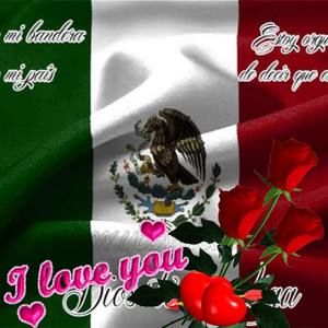 Meet your Posher, Gus